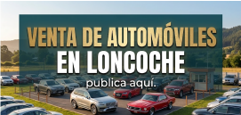 Venta de Propiedades en Loncoche