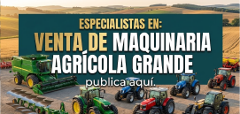 Venta de Propiedades en Loncoche